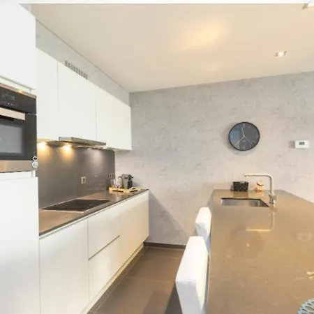 Luxe Met 2 Terrassen En 2 Slaapkamers En Gratis Fietsen Ostende